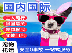大连机场物流国际宠物托运 【国